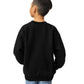 Kids Crewneck Sweatshirt (Heavy Blend)