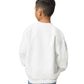 Kids Crewneck Sweatshirt (Heavy Blend) - PREORDER