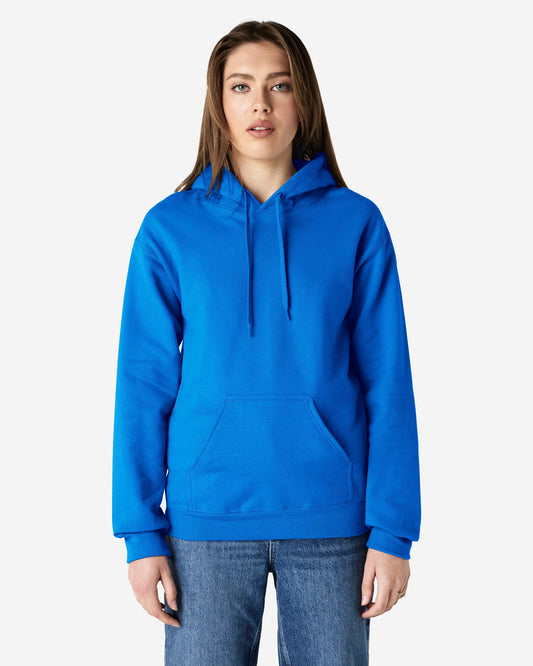 Adult Hoodie (Soft style)