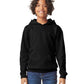 Kids Hoodie (Soft Style) - PREORDER