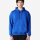 Adult Hoodie (Soft style)